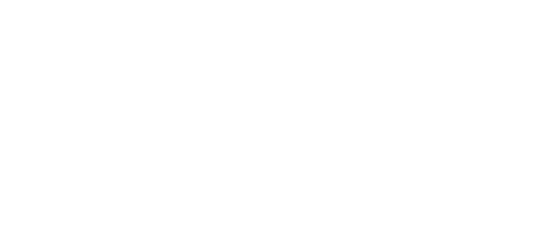 Ramas Digitales