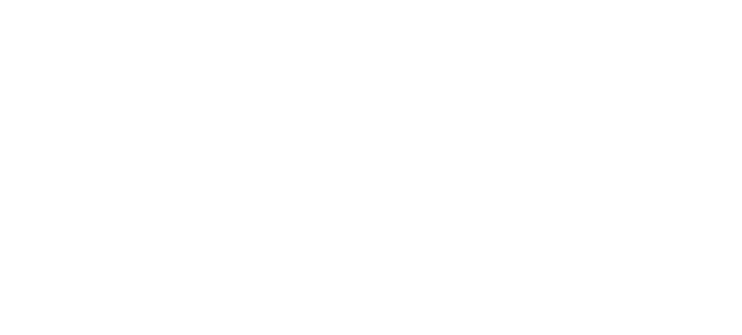 Ramas Digitales México